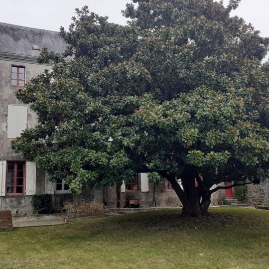  Mathieu CHAMARD - Agence BIEN CHEZ SOI : Apartment | PARTHENAY (79200) | 137 m2 | 100 000 € 