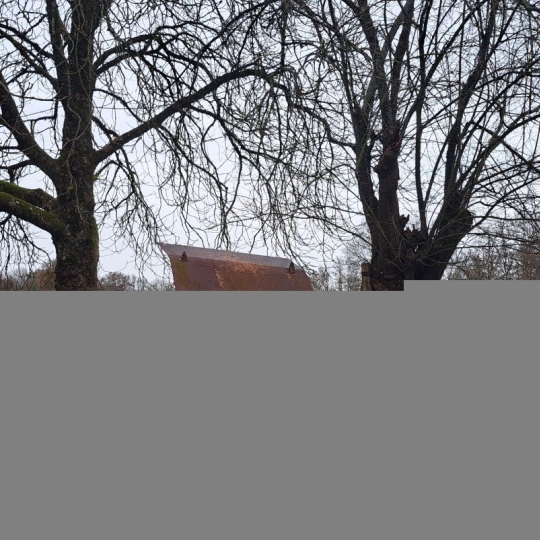  Mathieu CHAMARD - Agence BIEN CHEZ SOI : House | VOUHE (79310) | 81 m2 | 100 000 € 
