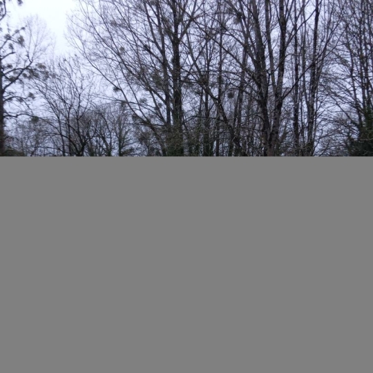  Mathieu CHAMARD - Agence BIEN CHEZ SOI : Ground | MAZIERES-EN-GATINE (79310) | 0 m2 | 30 000 € 