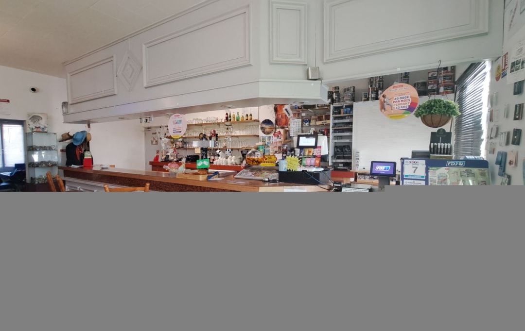 Mathieu CHAMARD - Agence BIEN CHEZ SOI : Commercial | SAINT-MAIXENT-L'ECOLE (79400) | 241 m2 | 117 000 € 