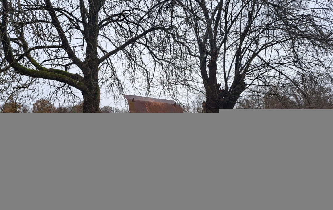 Mathieu CHAMARD - Agence BIEN CHEZ SOI : House | VOUHE (79310) | 81 m2 | 100 000 € 