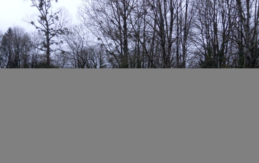 Mathieu CHAMARD - Agence BIEN CHEZ SOI : Ground | MAZIERES-EN-GATINE (79310) | 0 m2 | 30 000 € 